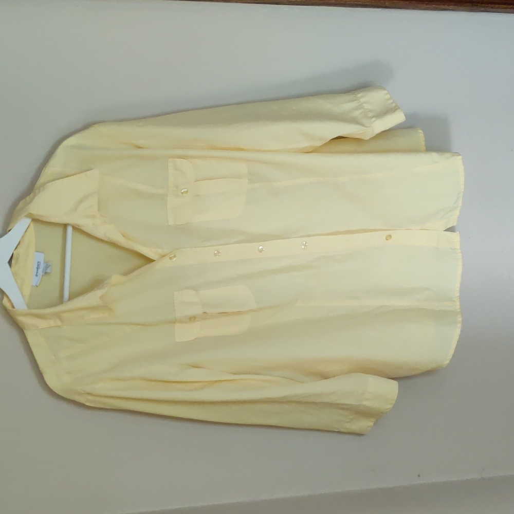 Dress Barn blouse 22/24W